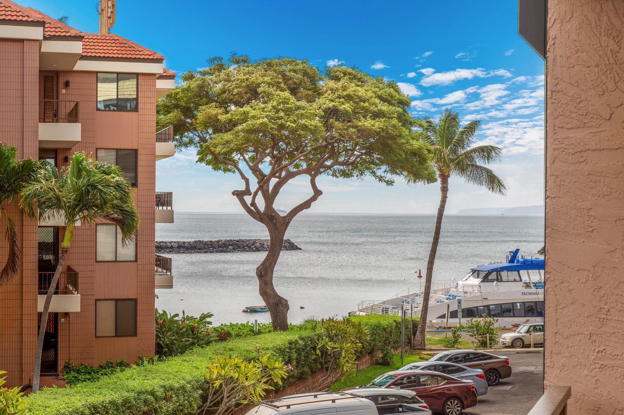 20 Hauoli St Property Photo