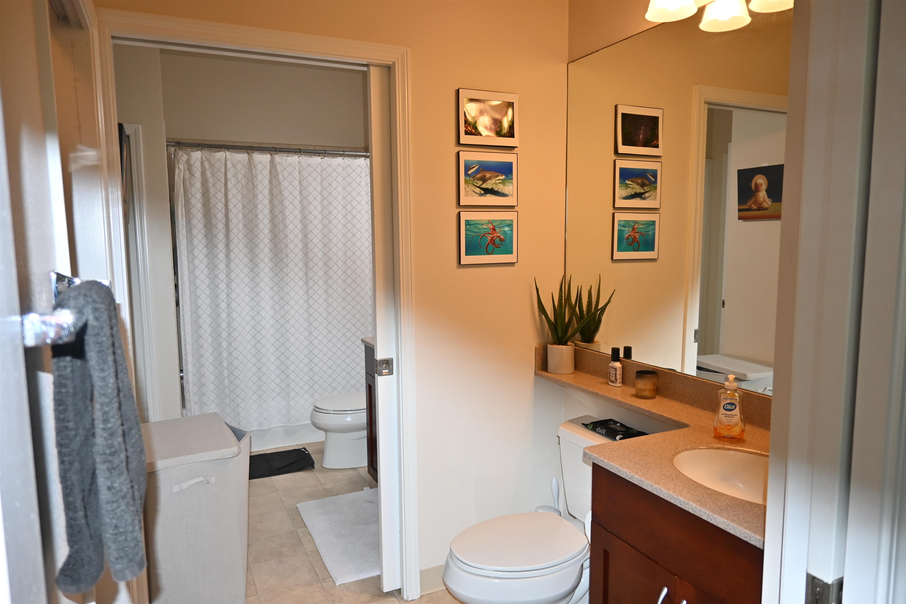 218 Hooulu Ln Property Photo 7