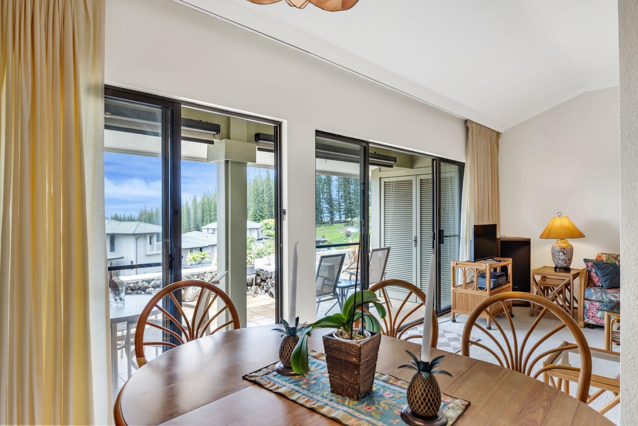 500 Kapalua Dr Property Photo 2