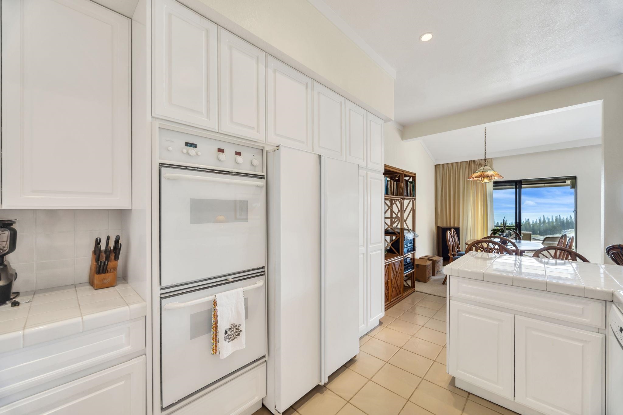 500 Kapalua Dr Property Photo 25