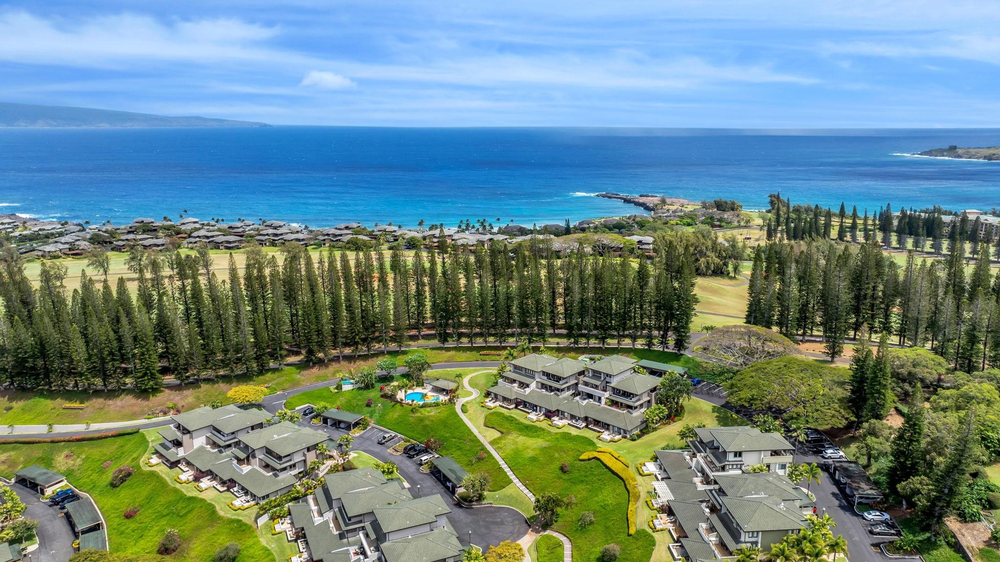 500 Kapalua Dr Property Photo 45