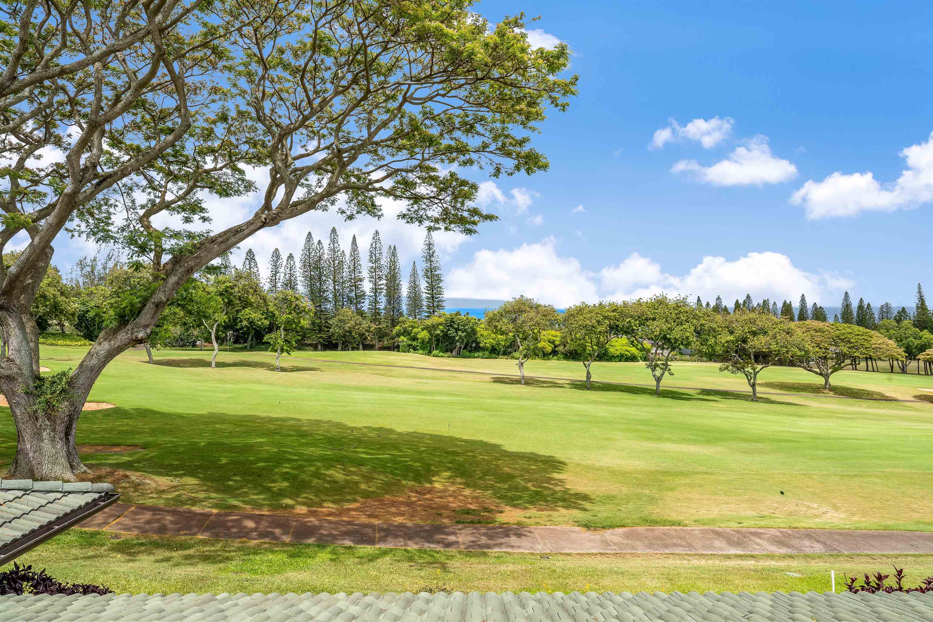 500 Kapalua Dr Property Photo 26