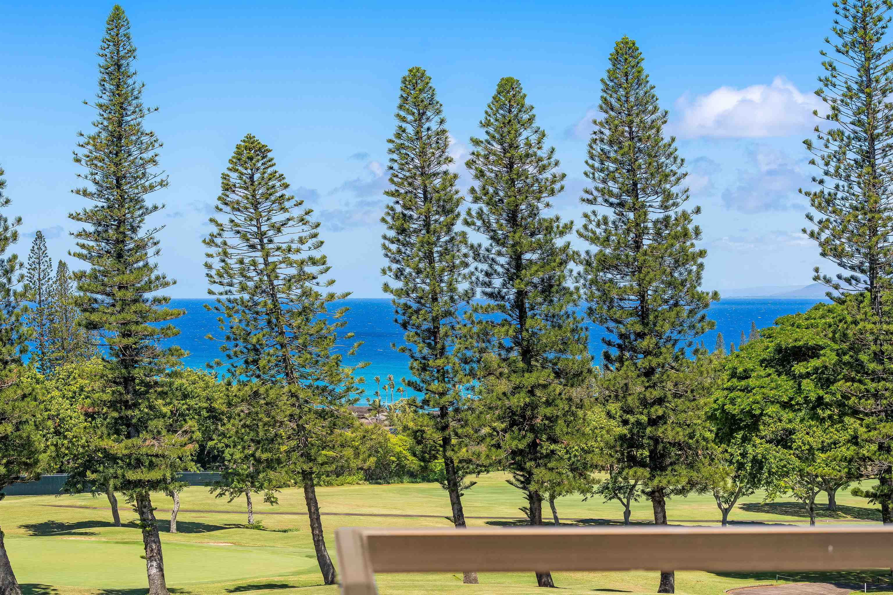 500 Kapalua Dr Property Photo 32