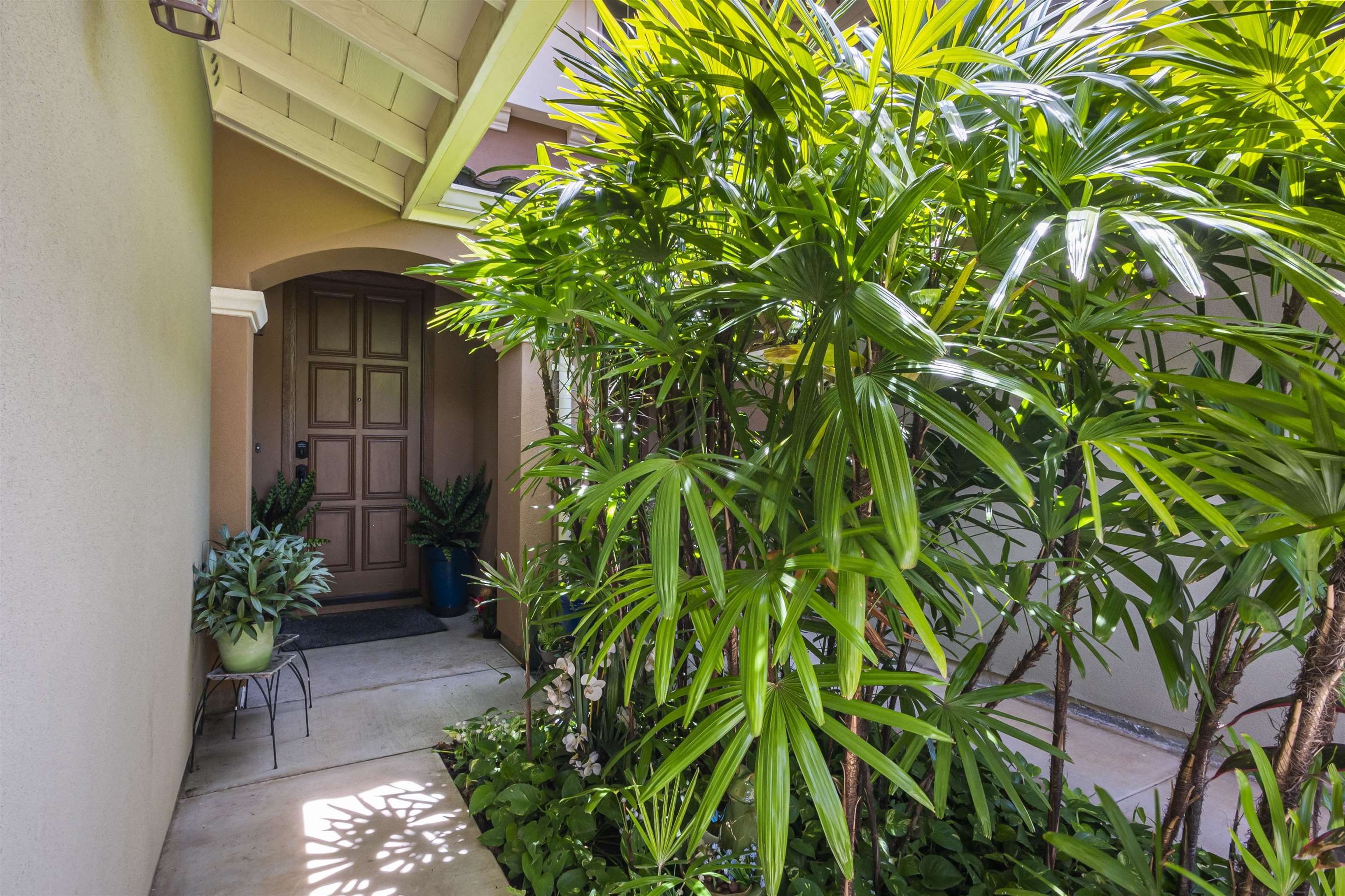49 Kokea St Property Photo