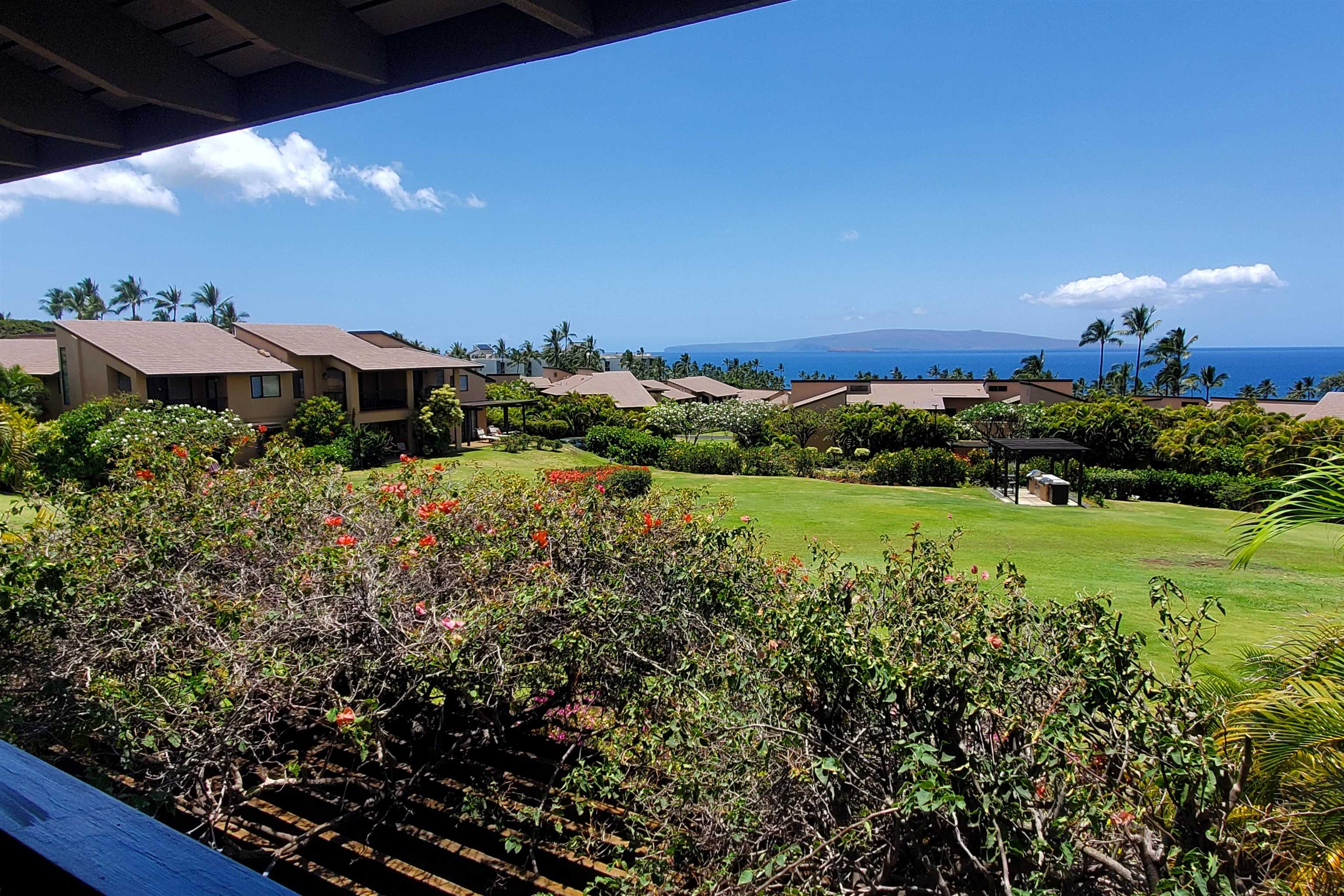 3300 Wailea Alanui St Property Photo 17