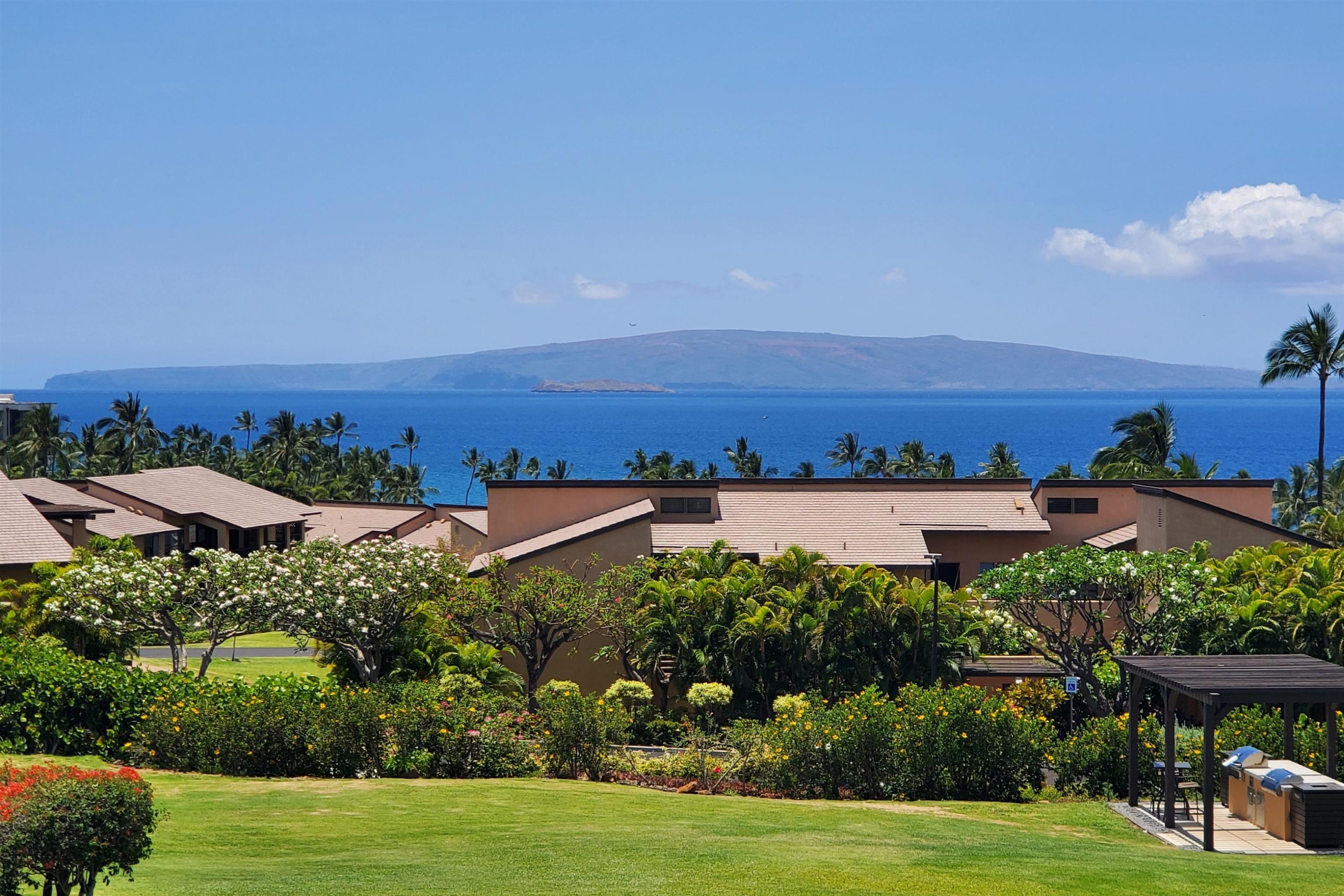 3300 Wailea Alanui St Property Photo 27