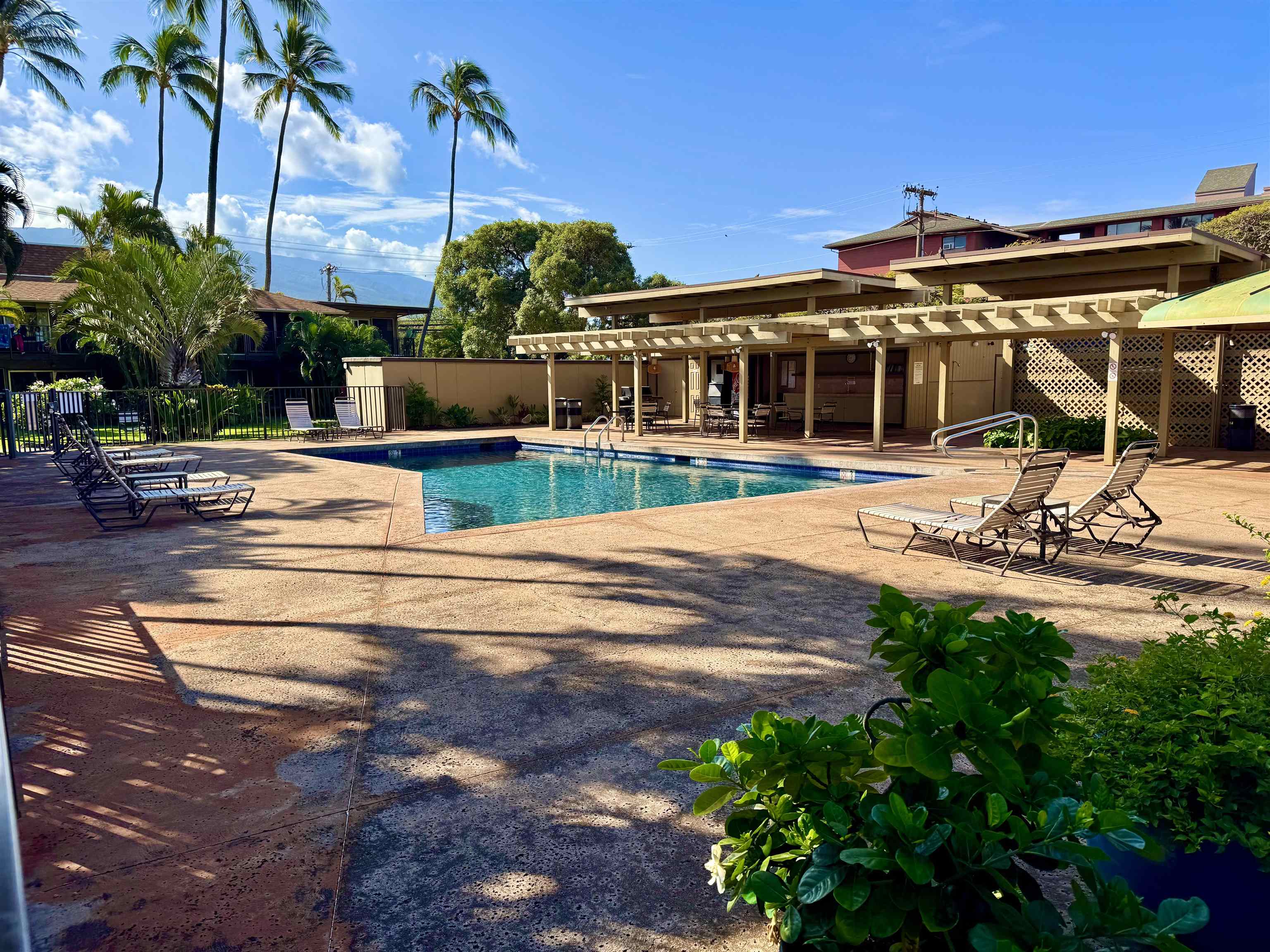 3559 Lower Honoapiilani Rd Property Photo 14