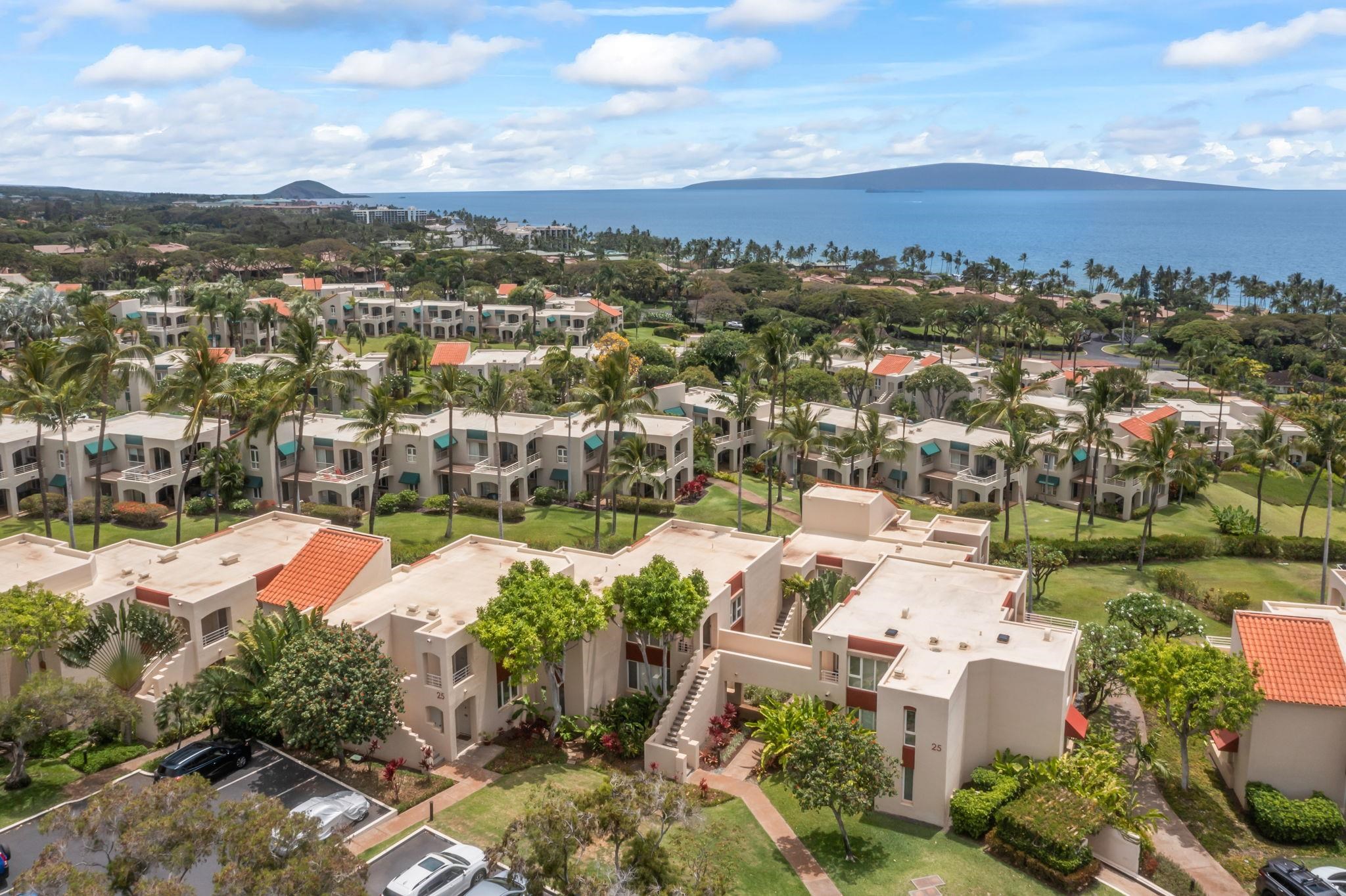 3150 Wailea Alanui Dr Property Photo 36