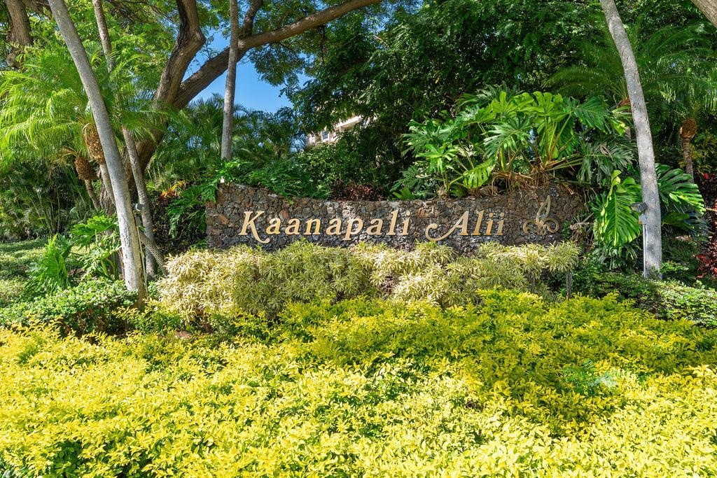 50 Nohea Kai Dr Property Photo 42