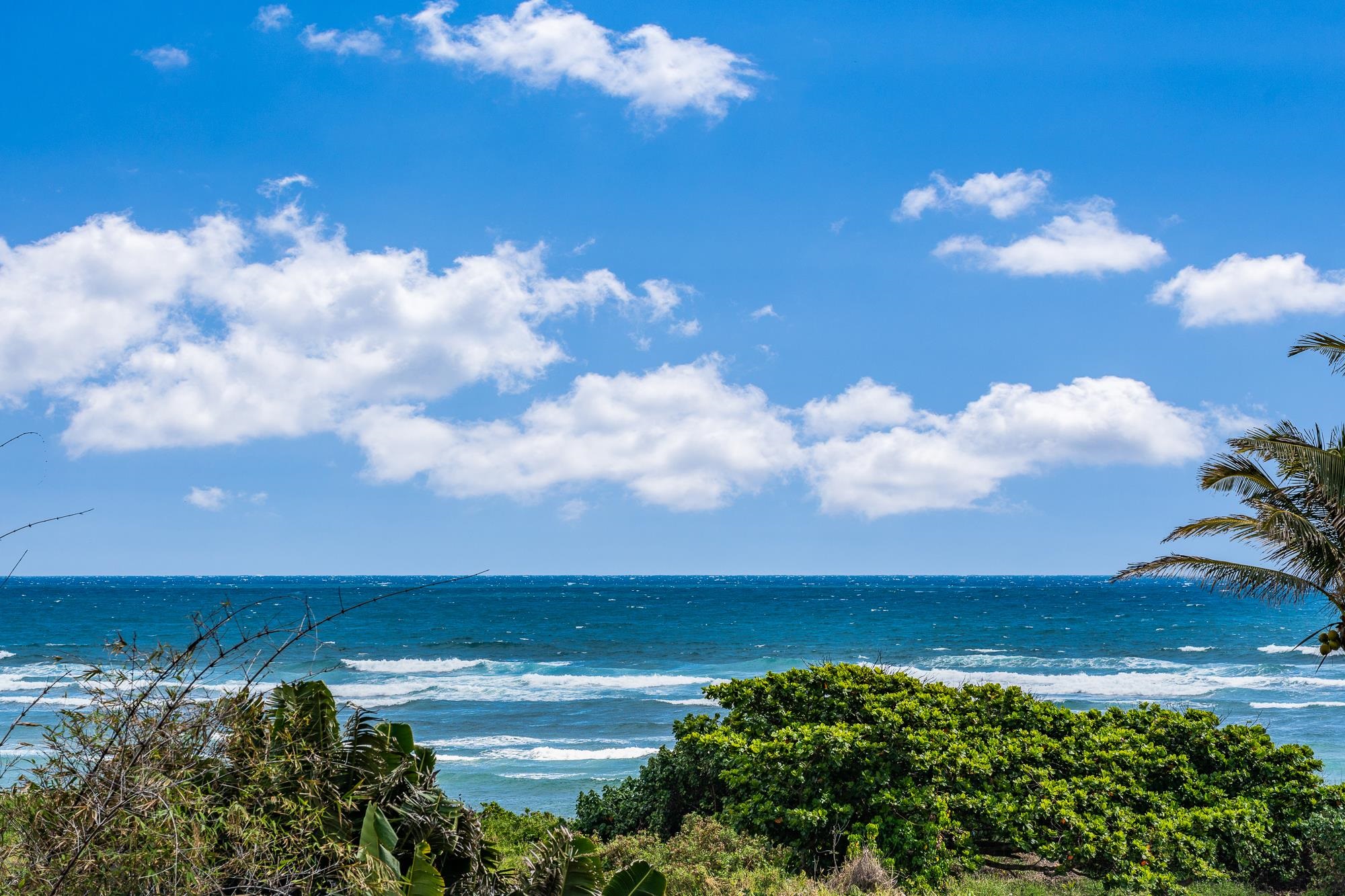 658 Waiehu Beach Rd Property Photo
