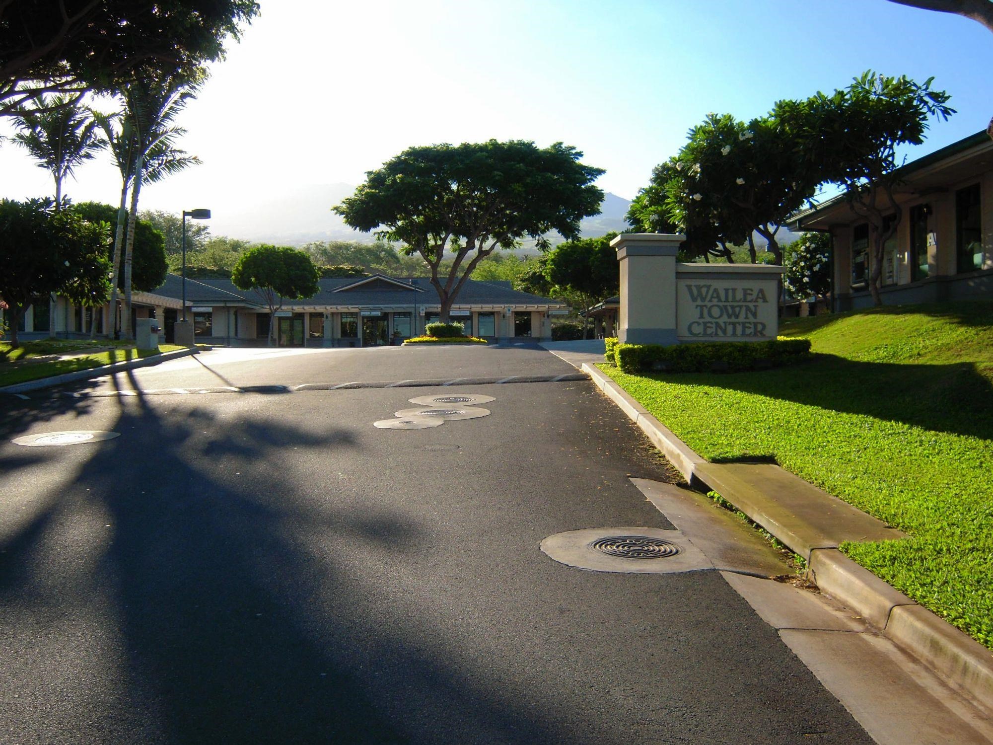 161 Wailea Ike Pl Property Photo 9