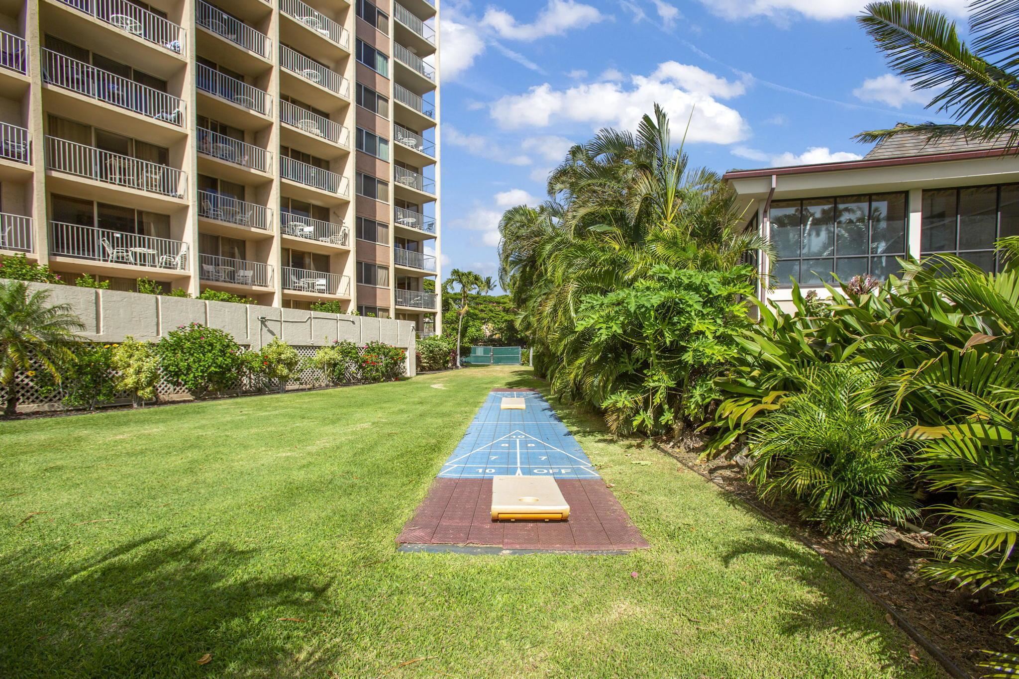 4365 Lower Honoapiilani Rd Property Photo 29