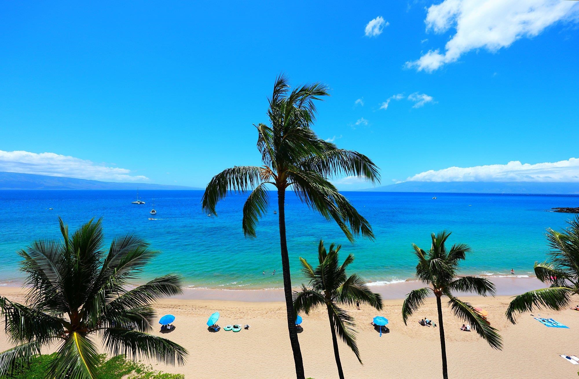2481 Kaanapali Pkwy Property Photo 15