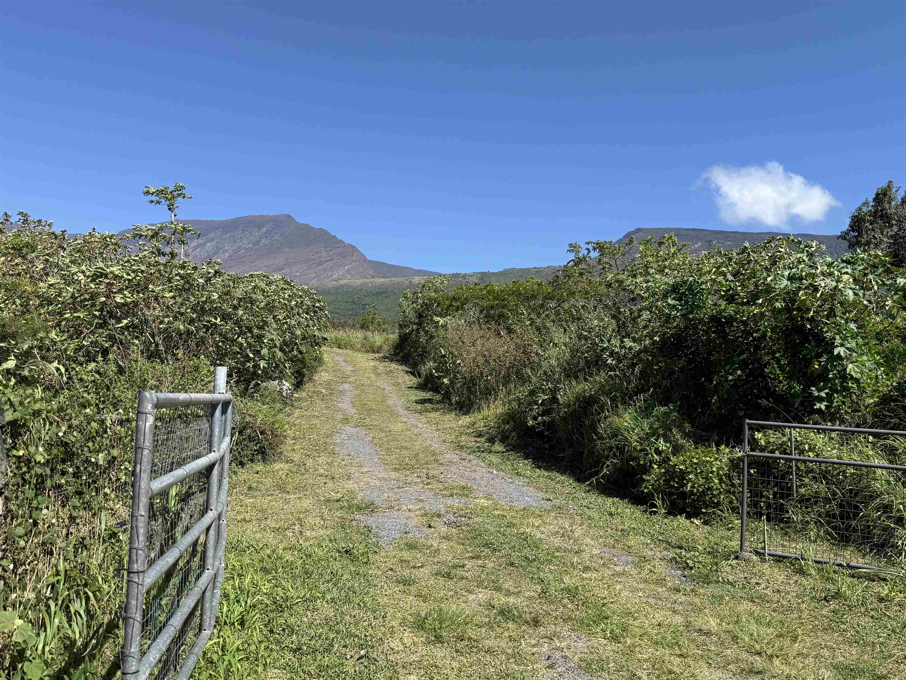 34701 Piilani Hwy Property Photo 4