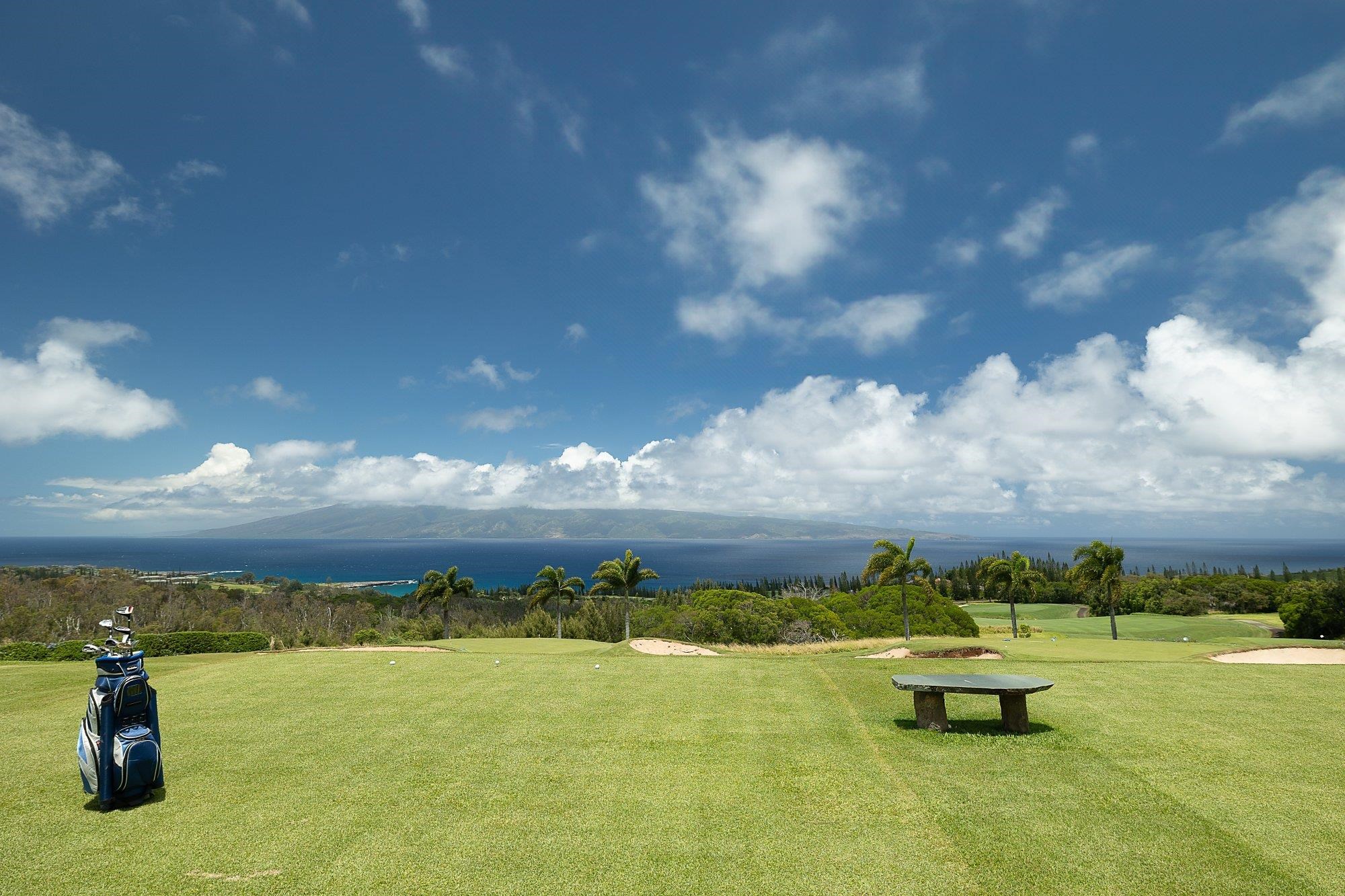 710 Mokuleia Pl Property Photo 11