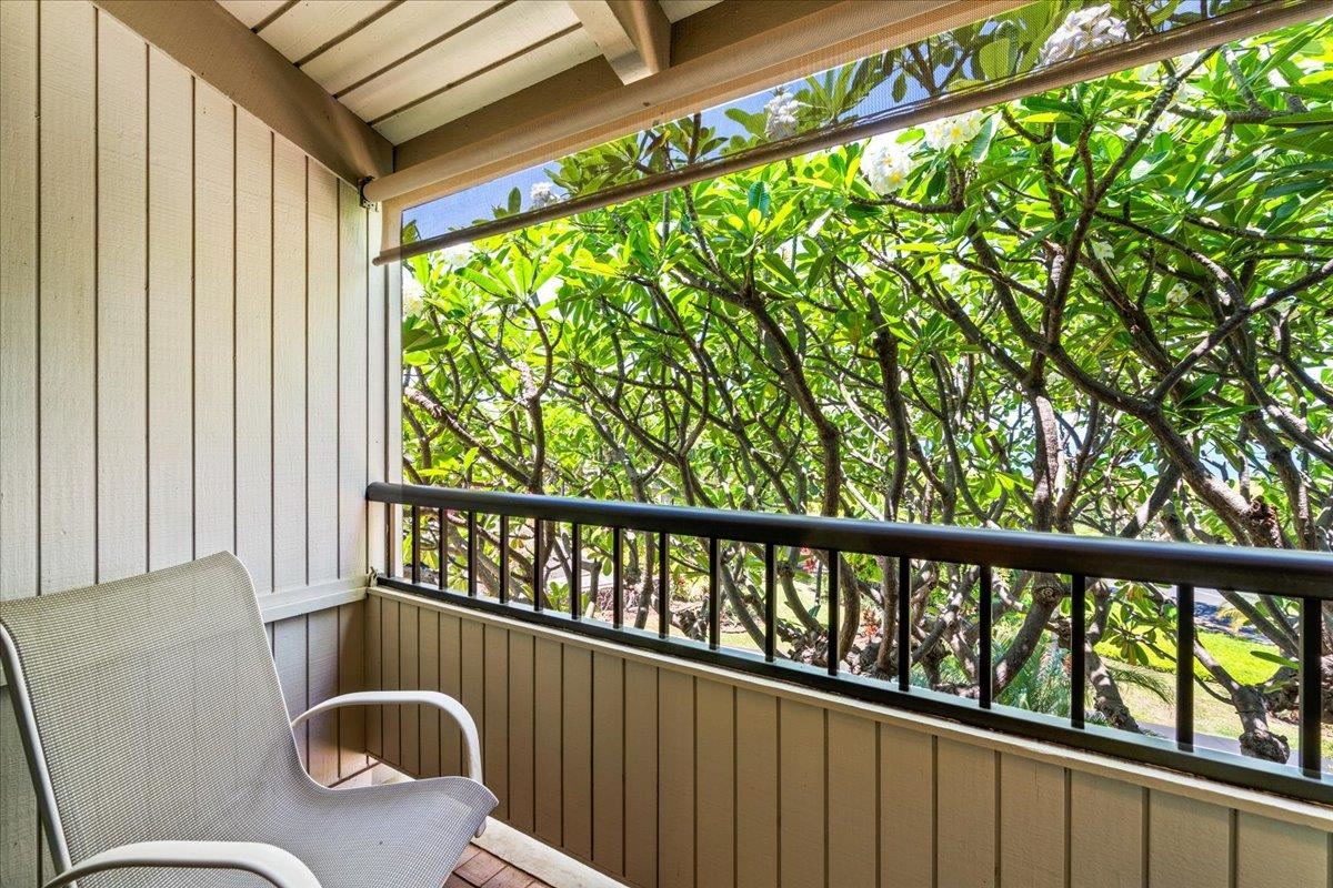 10 Wailea Ekolu Pl Property Photo 36