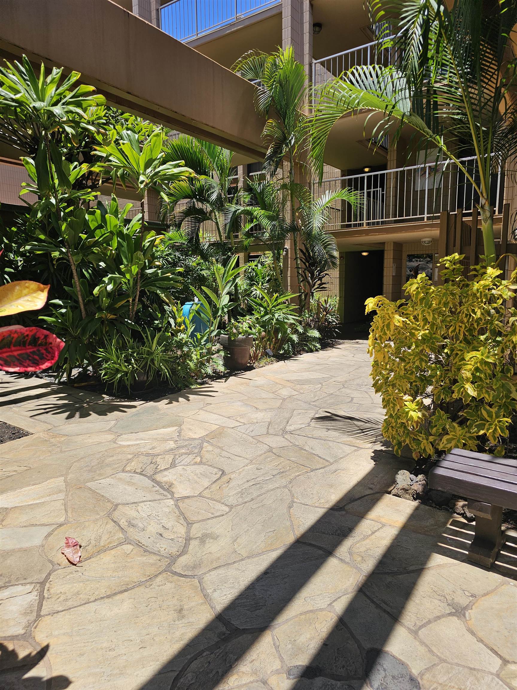 3785 Lower Honoapiilani Rd Property Photo 2