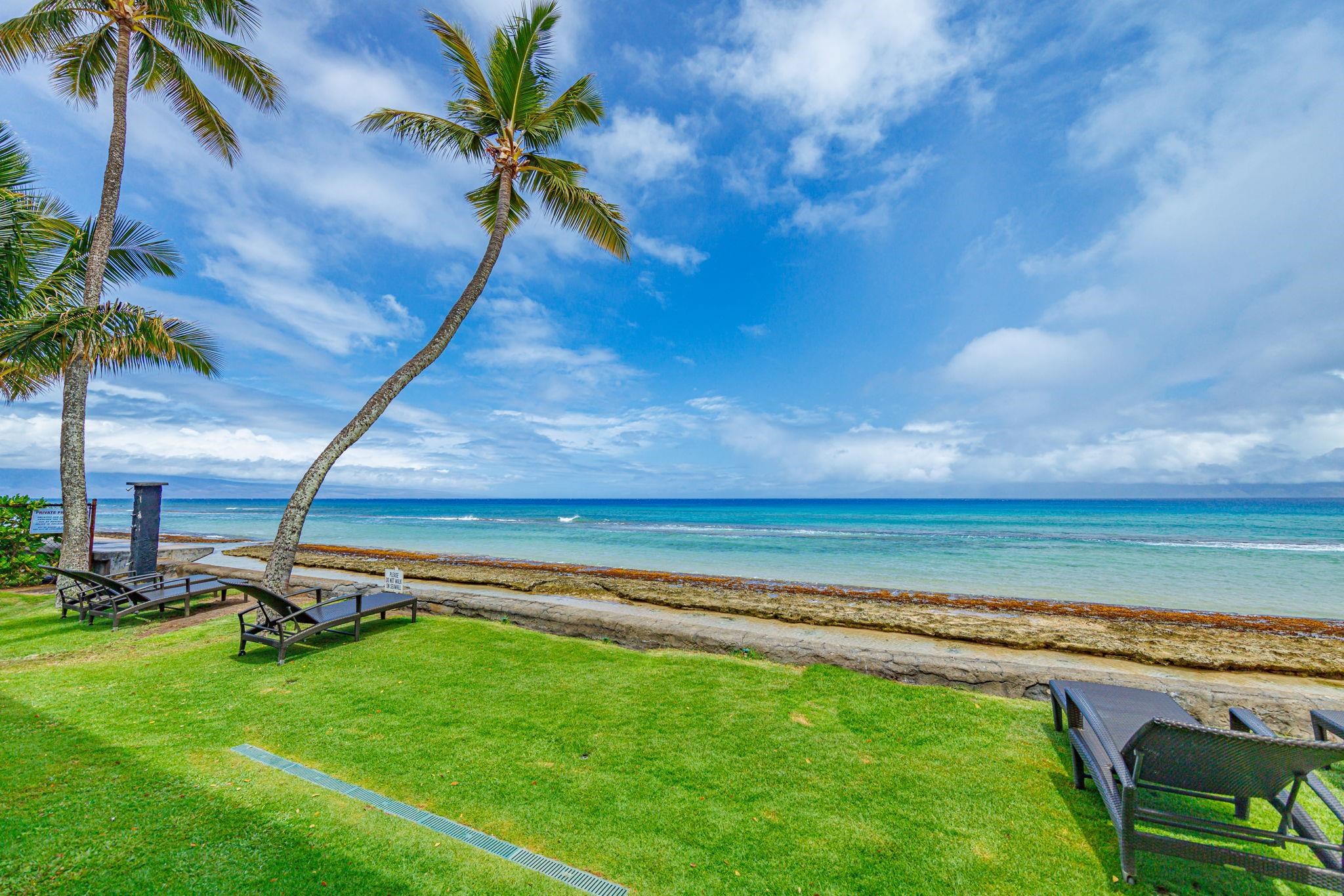 3559 Lower Honoapiilani Rd