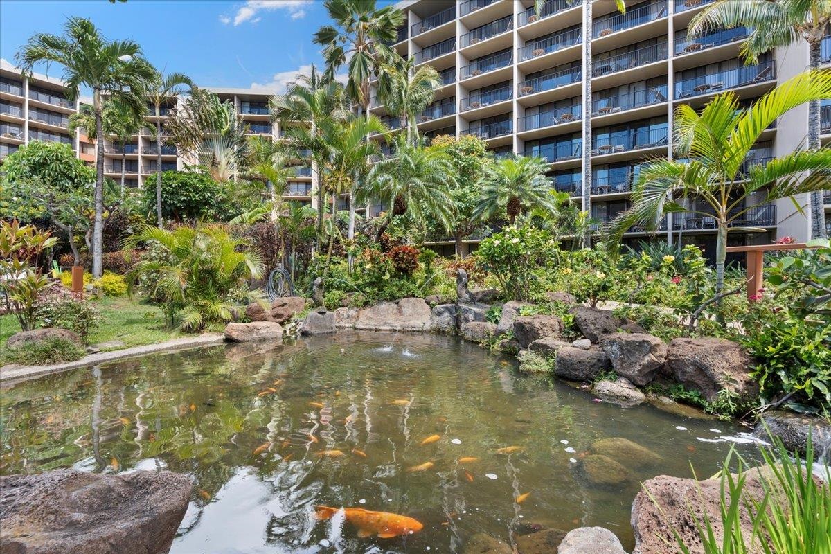 3445 Lower Honoapiilani Rd Property Photo 47
