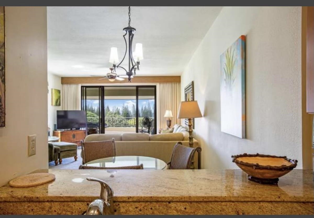 500 Kapalua Dr Property Photo 8