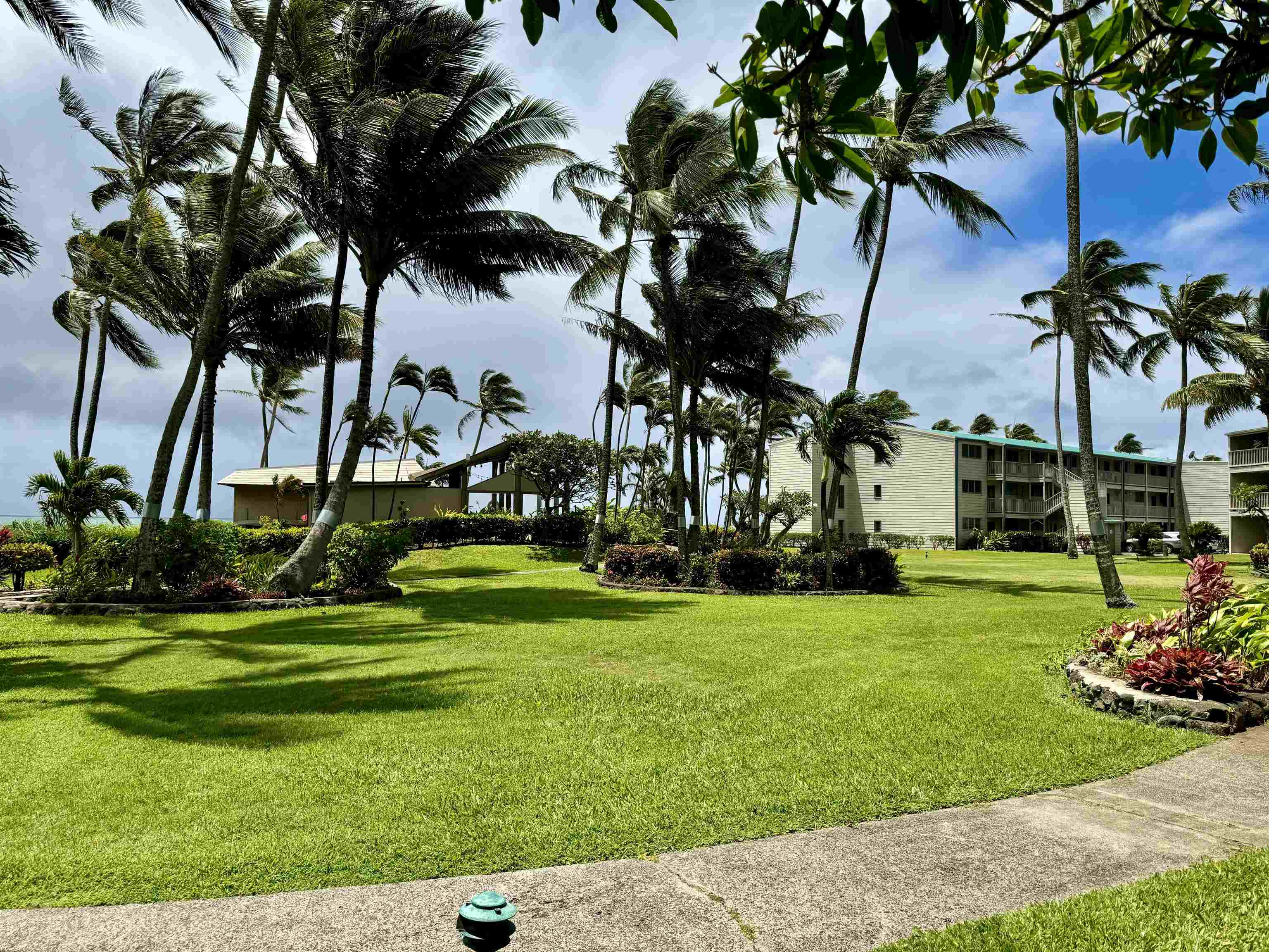 7146 Kamehameha V Hwy Property Photo