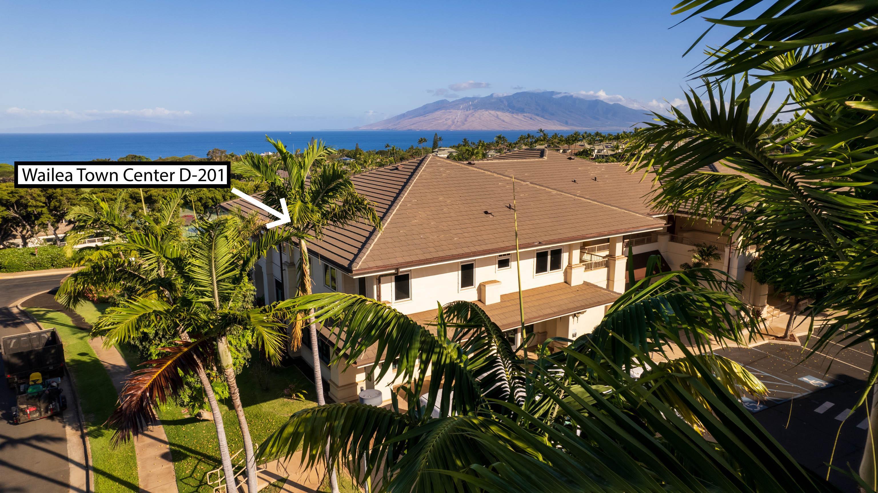 161 Wailea Ike Pl Property Photo 8