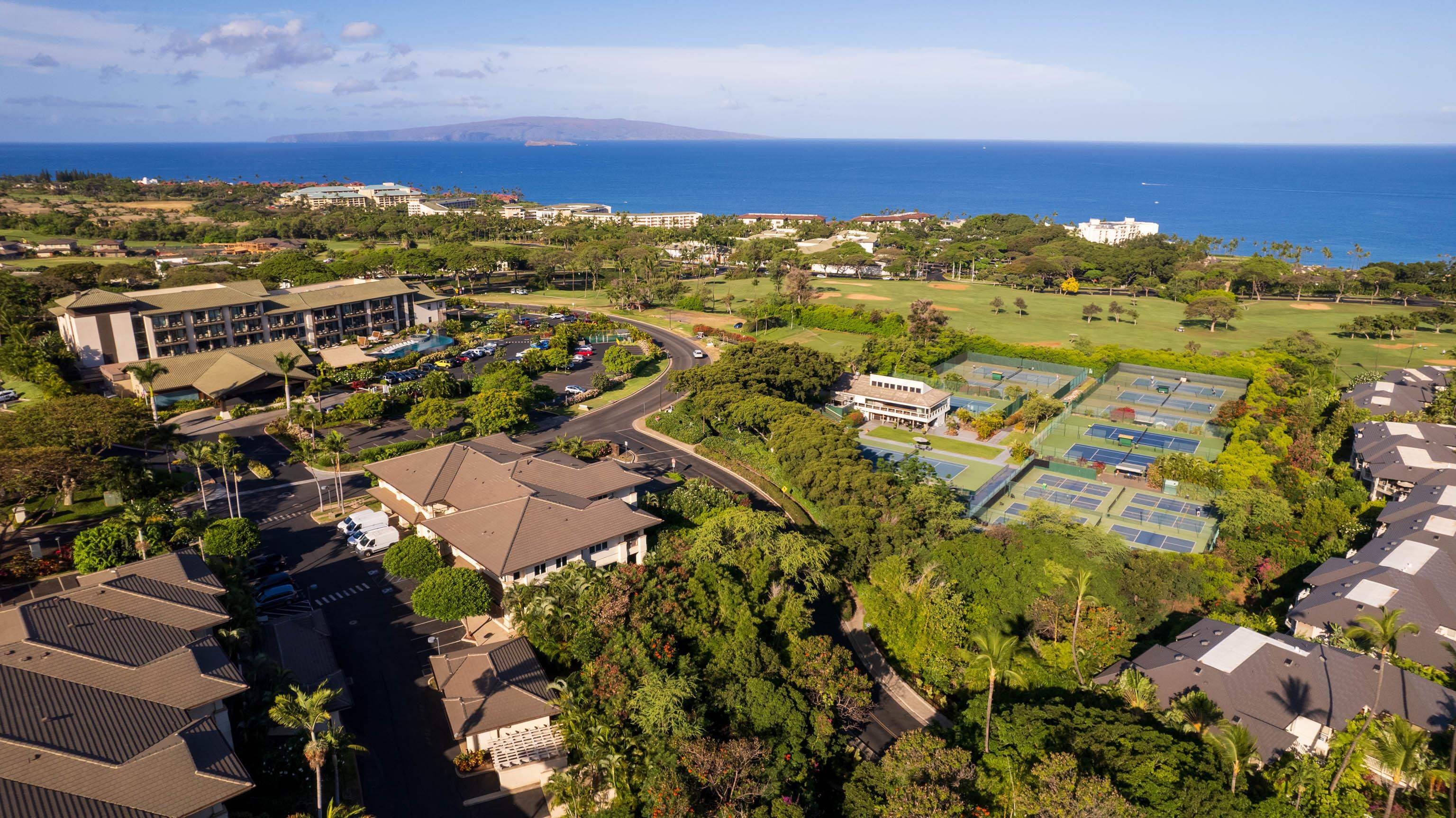 161 Wailea Ike Pl Property Photo 10