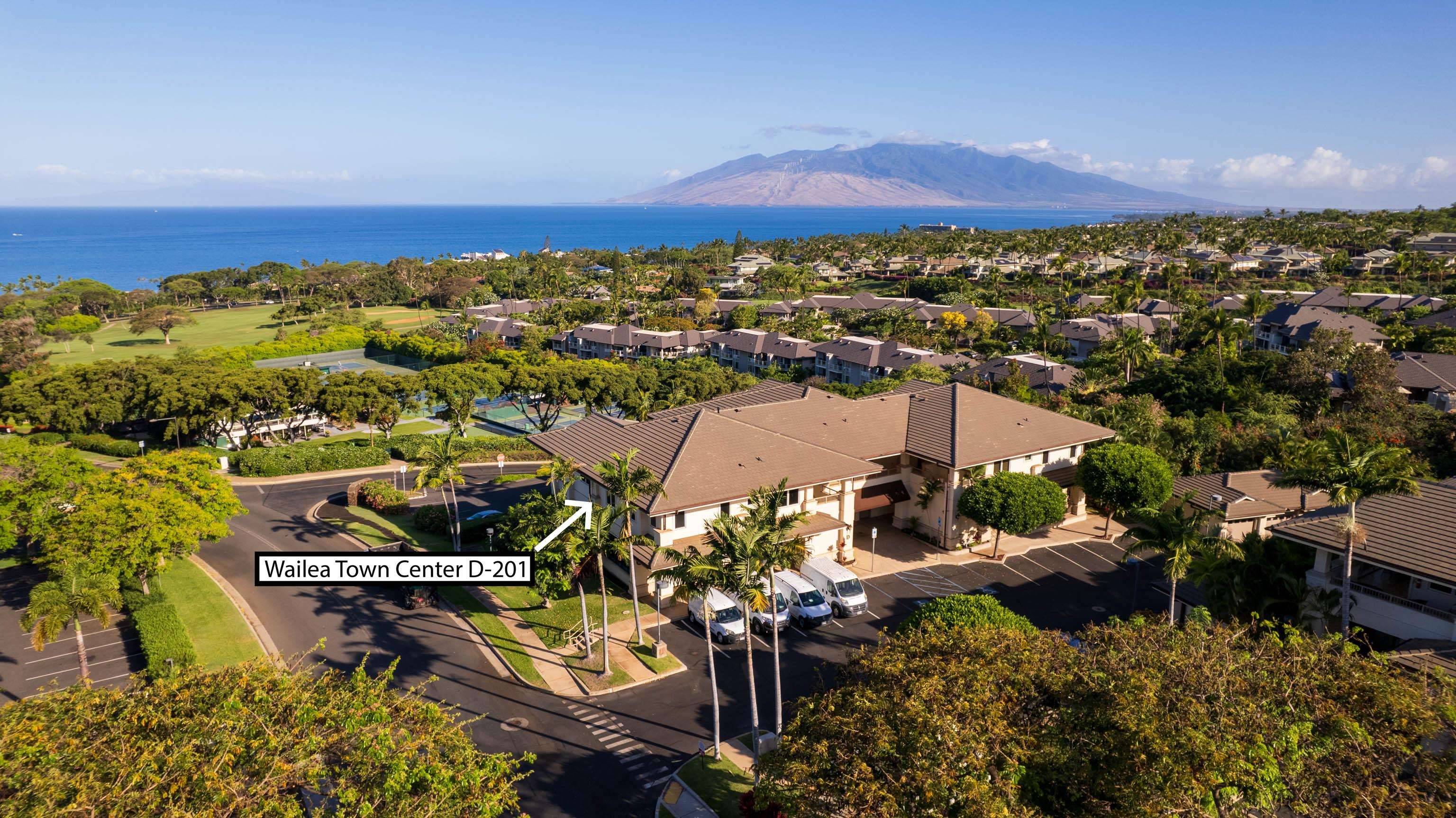 161 Wailea Ike Pl Property Photo 11