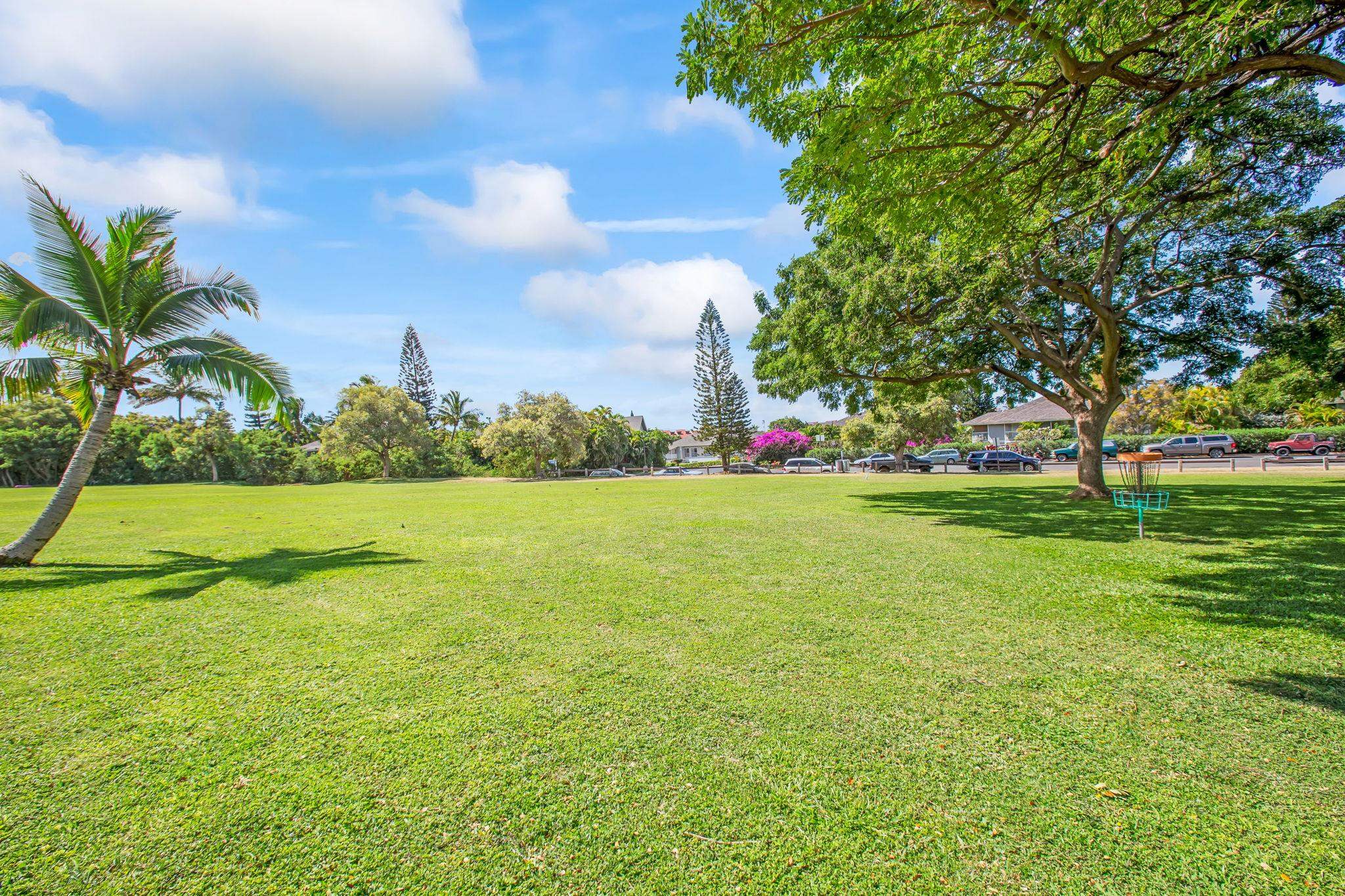 160 Keonekai Rd Property Photo 46