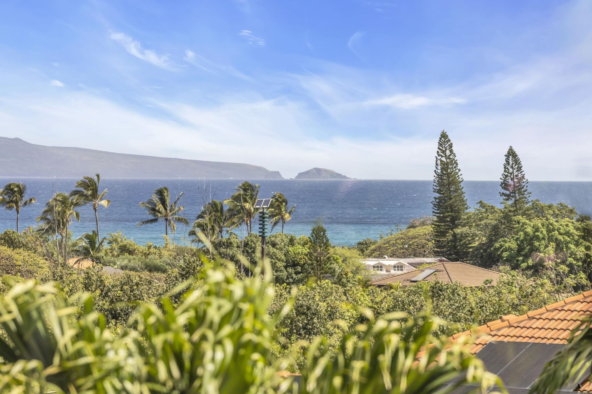 207 Kahana Ridge Dr Property Photo 10