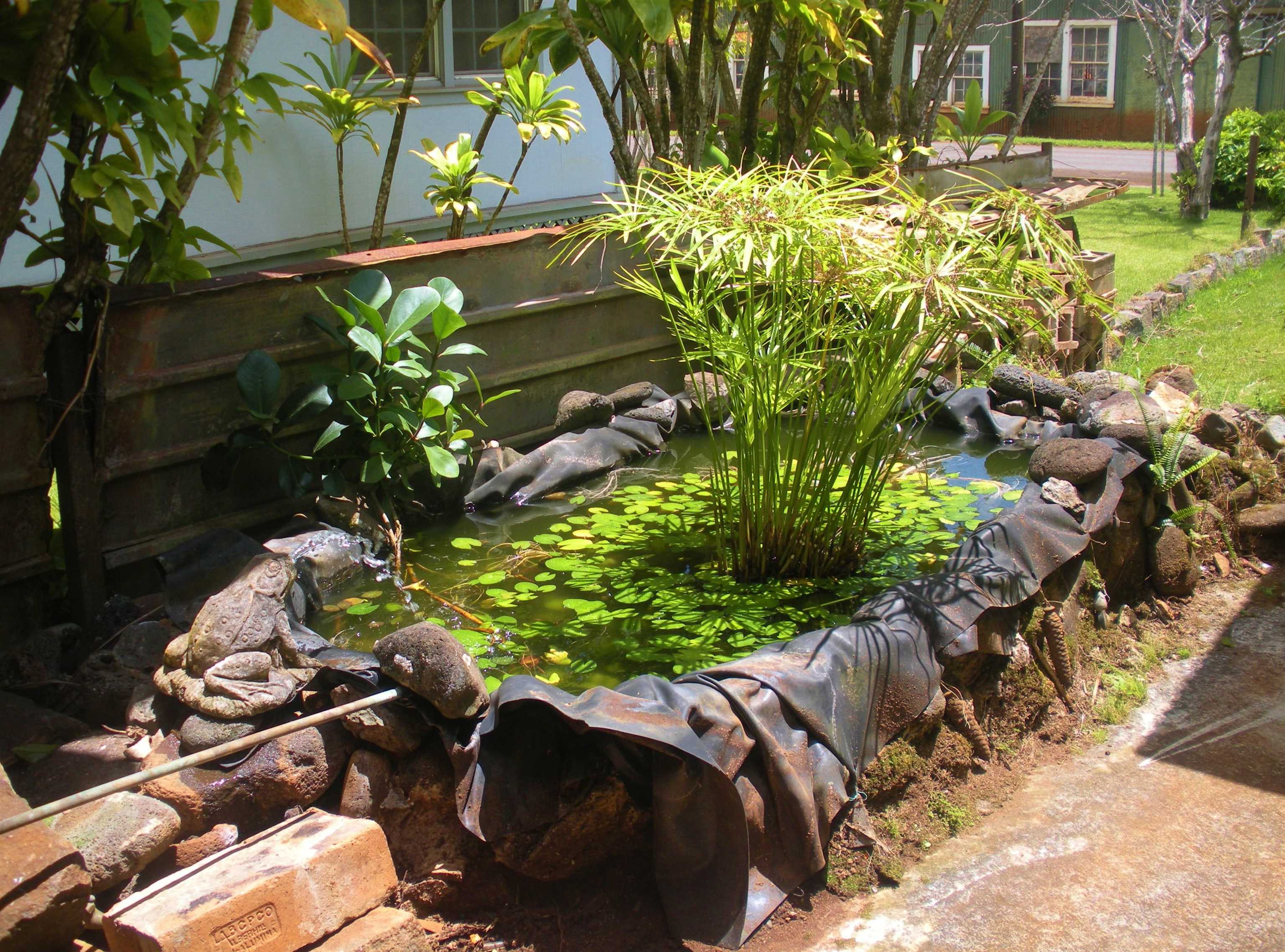 928 Lanai Ave Property Photo 14