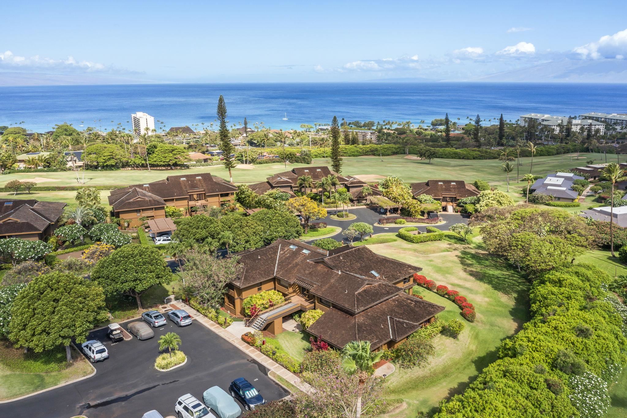 50 Puu Anoano St Property Photo 1