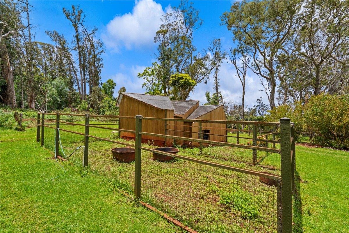 2450 Piiholo Rd Property Photo 50