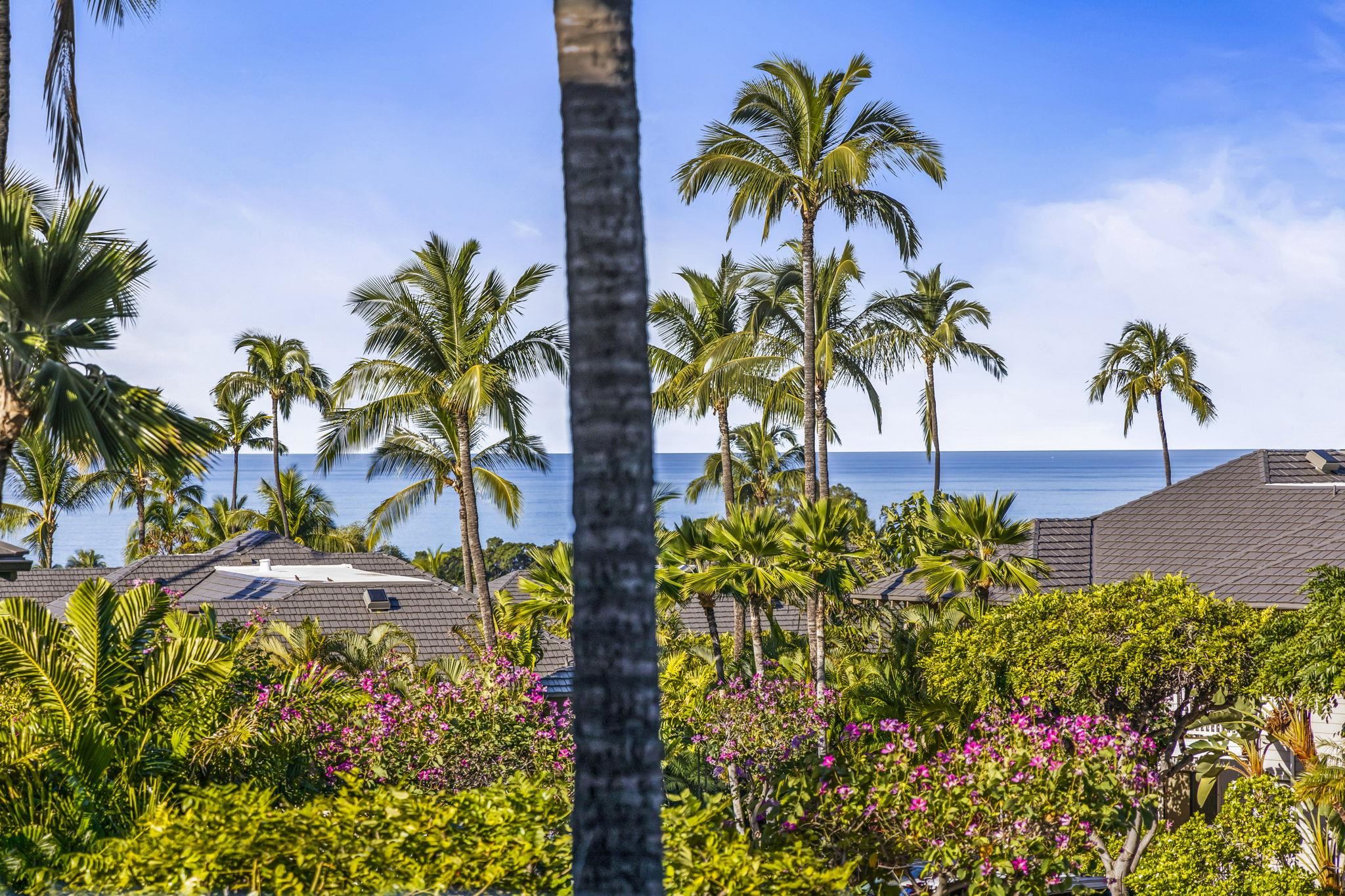 155 Wailea Ike Pl Property Photo 1