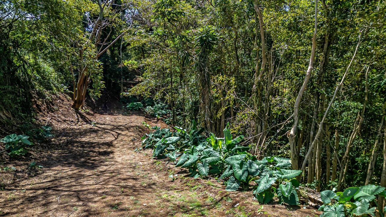 2762 Hana Hwy Property Photo 6
