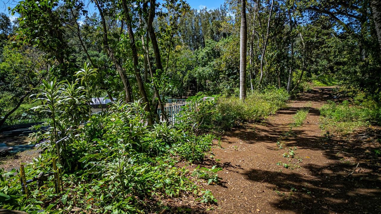 2762 Hana Hwy Property Photo 13