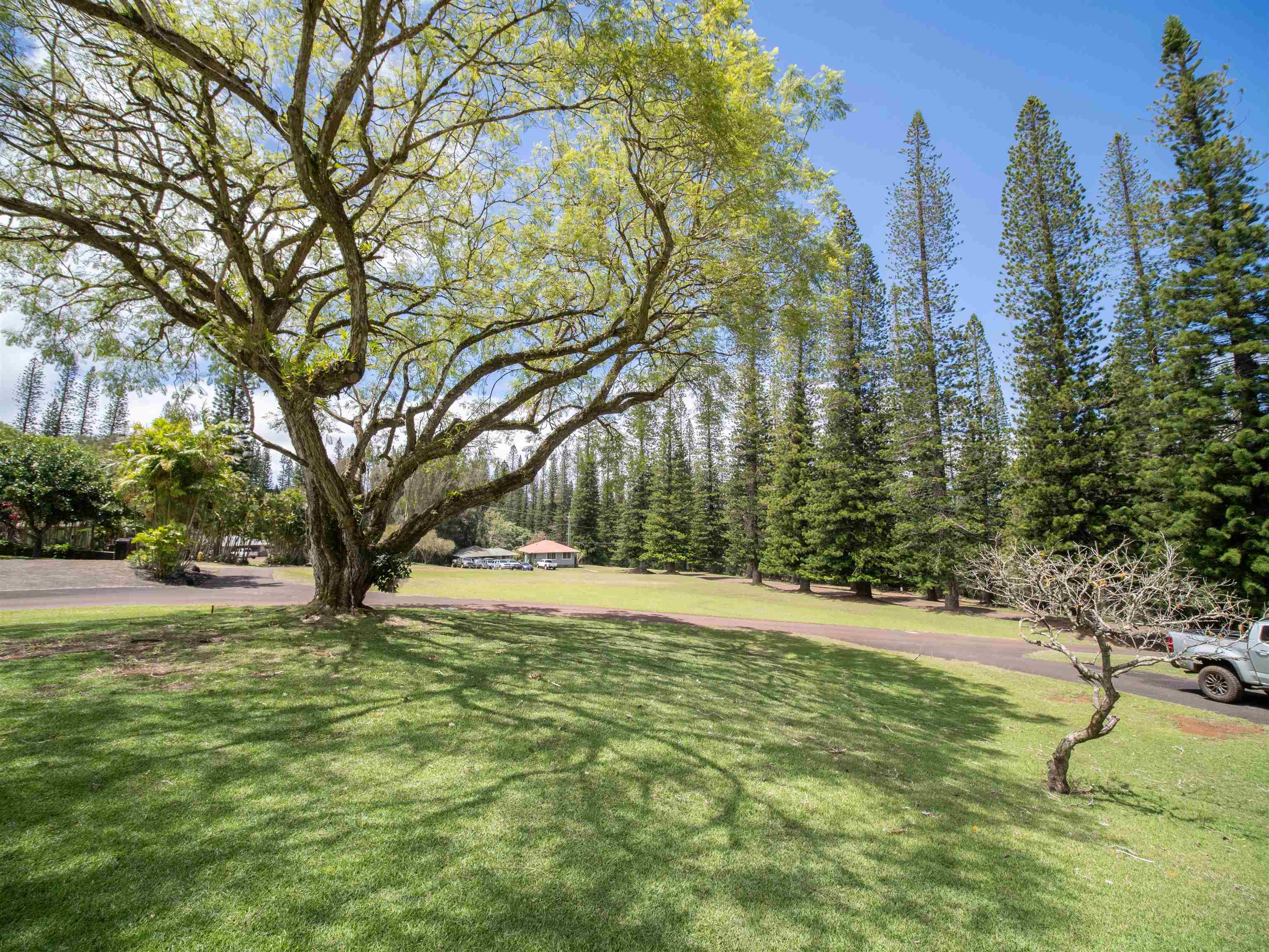 437 Hau Dr Property Photo 8