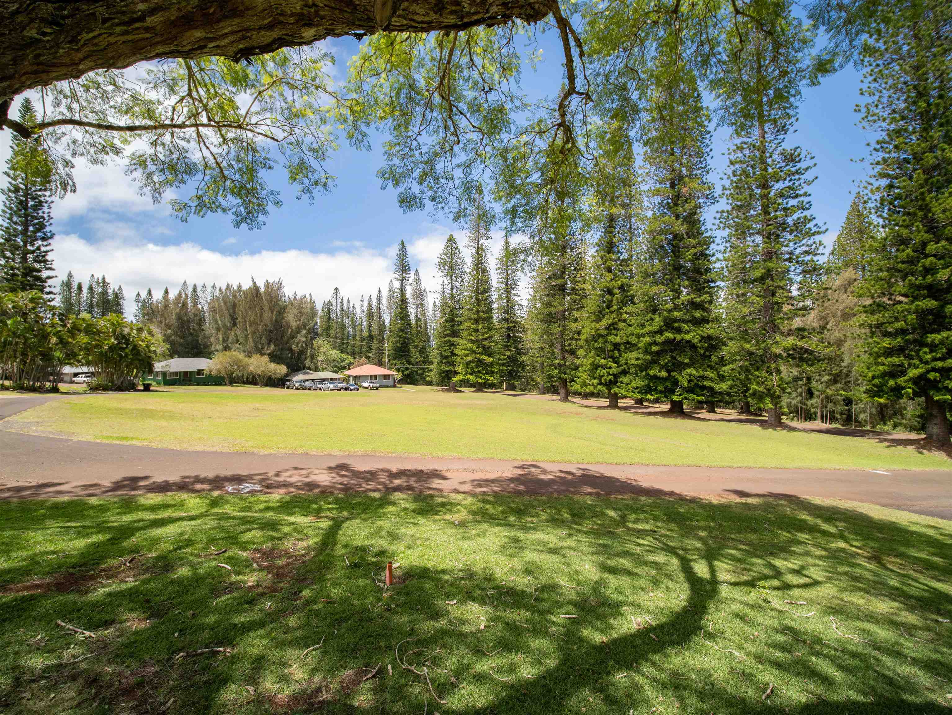437 Hau Dr Property Photo 9