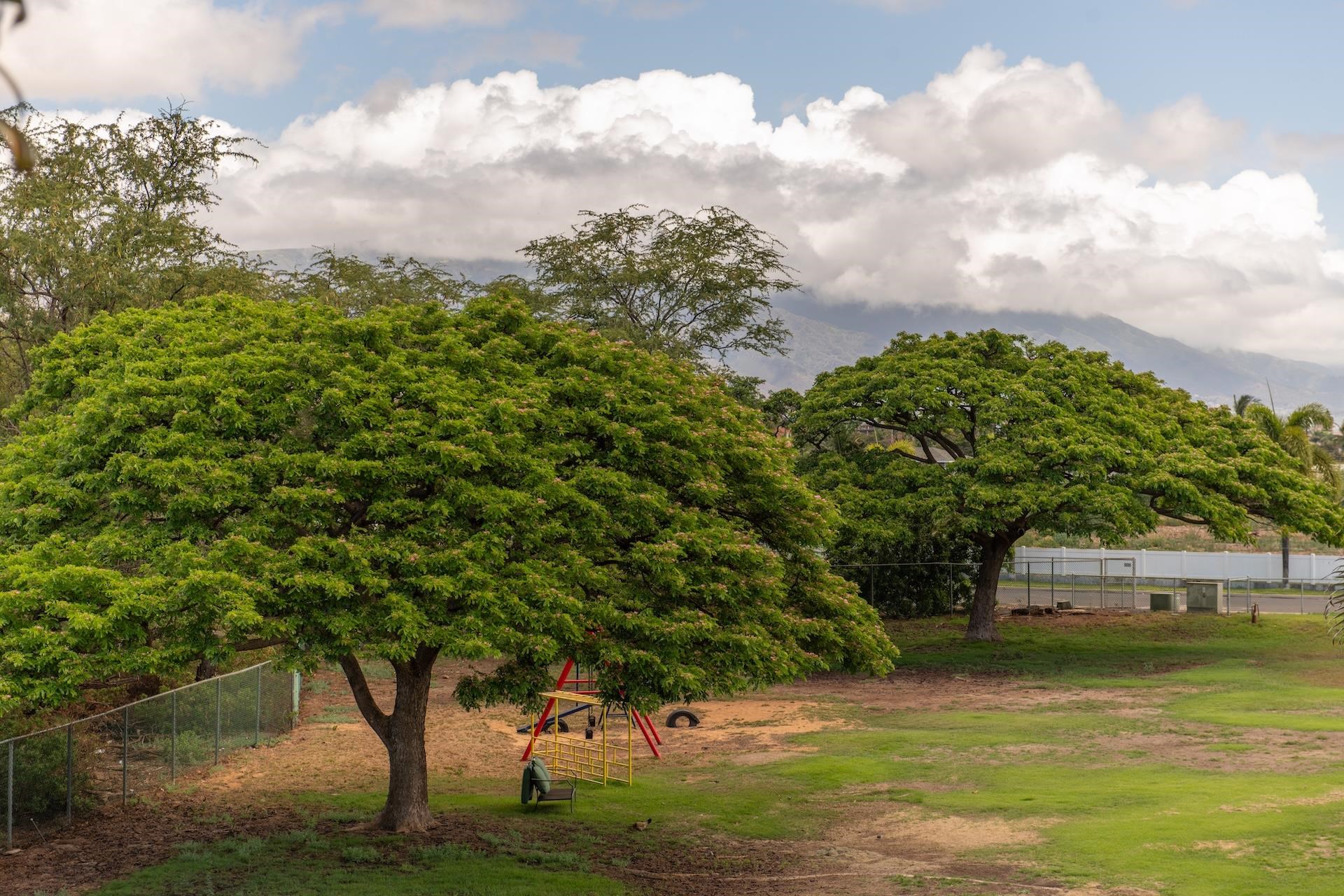 24 Laumakani Loop Property Photo 34