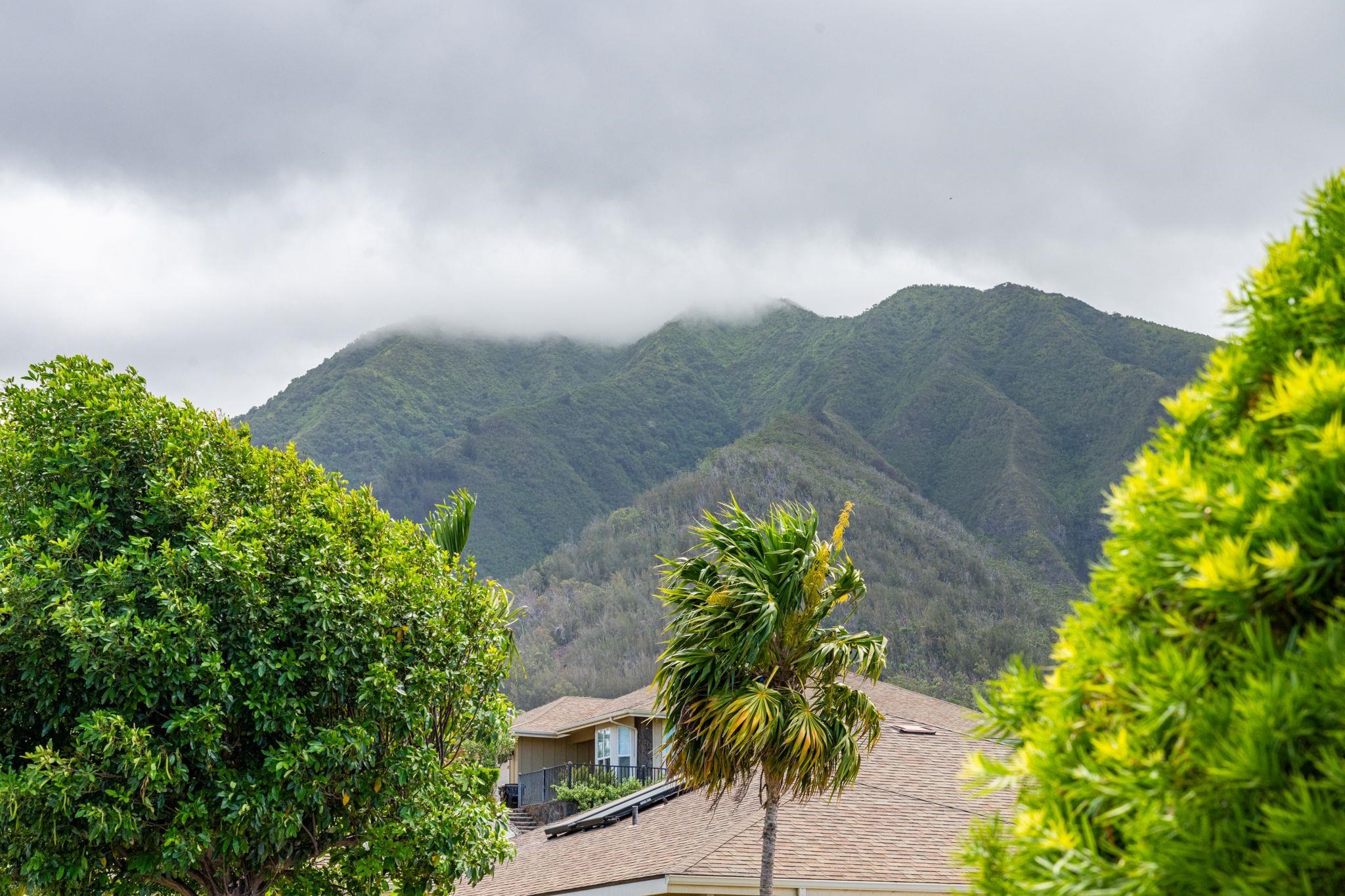 160 Kinohi Loa Loop Loop Property Photo 4