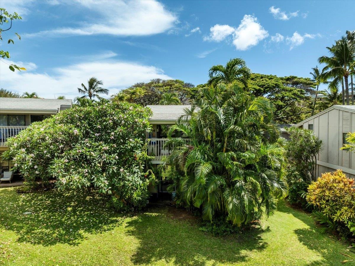 4435 Lower Honoapiilani Rd Property Photo 10