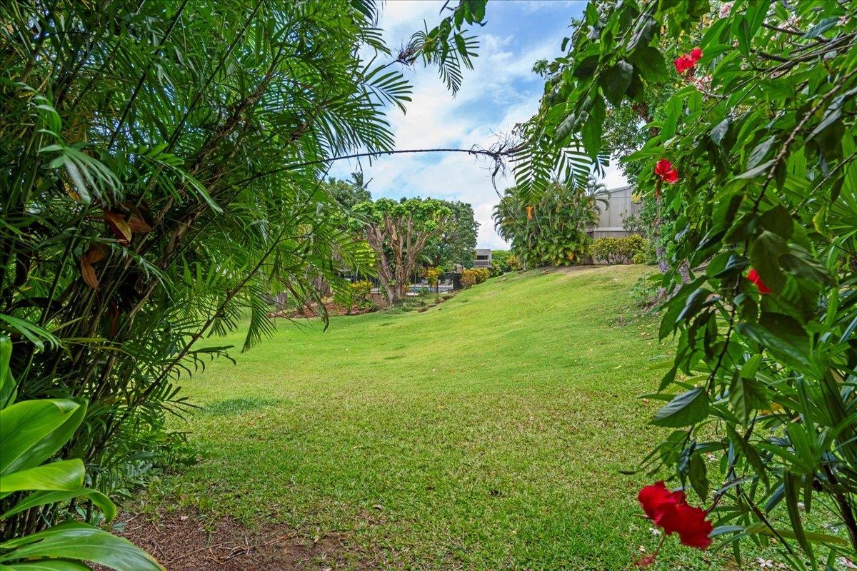 4435 Lower Honoapiilani Rd Property Photo 27