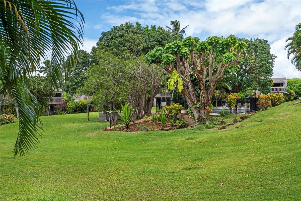 4435 Lower Honoapiilani Rd Property Photo 28