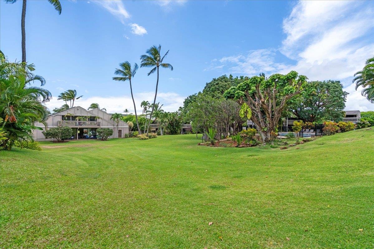 4435 Lower Honoapiilani Rd Property Photo 29