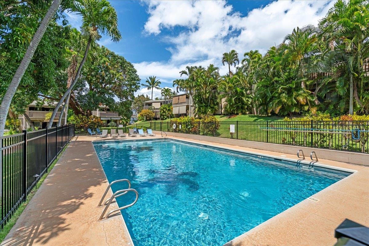 4435 Lower Honoapiilani Rd Property Photo 43