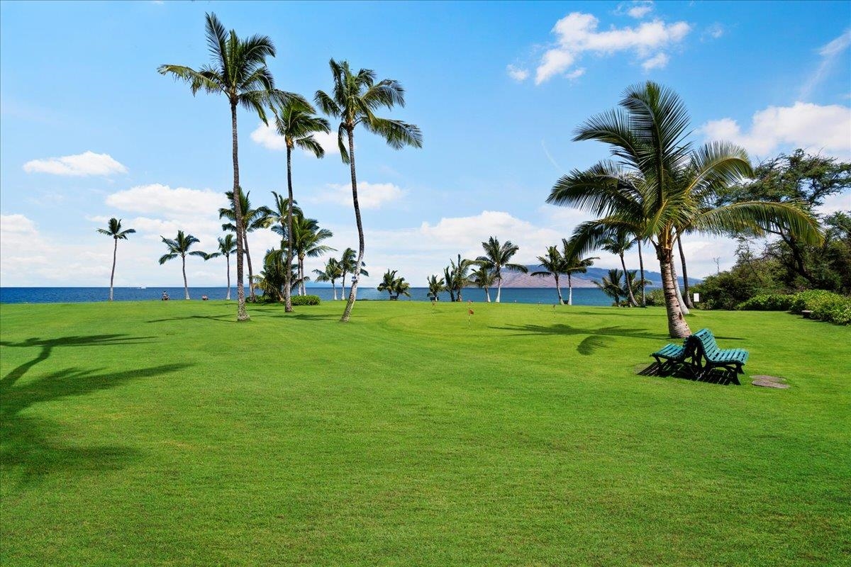 2936 S Kihei Rd Property Photo 50