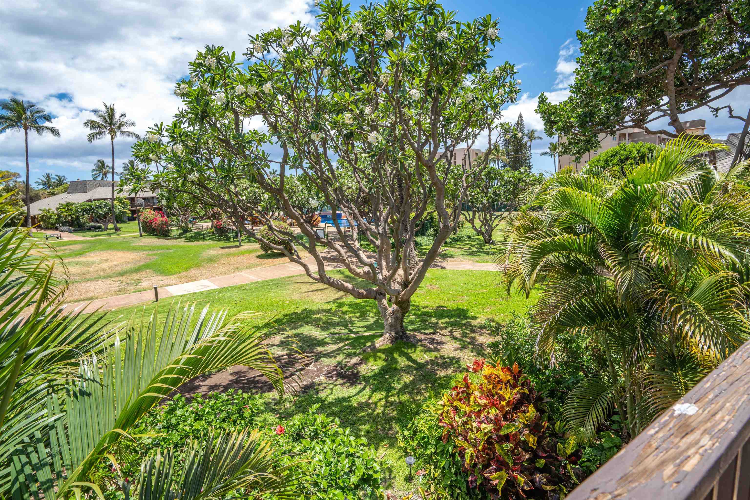 811 S Kihei Rd Property Photo 1