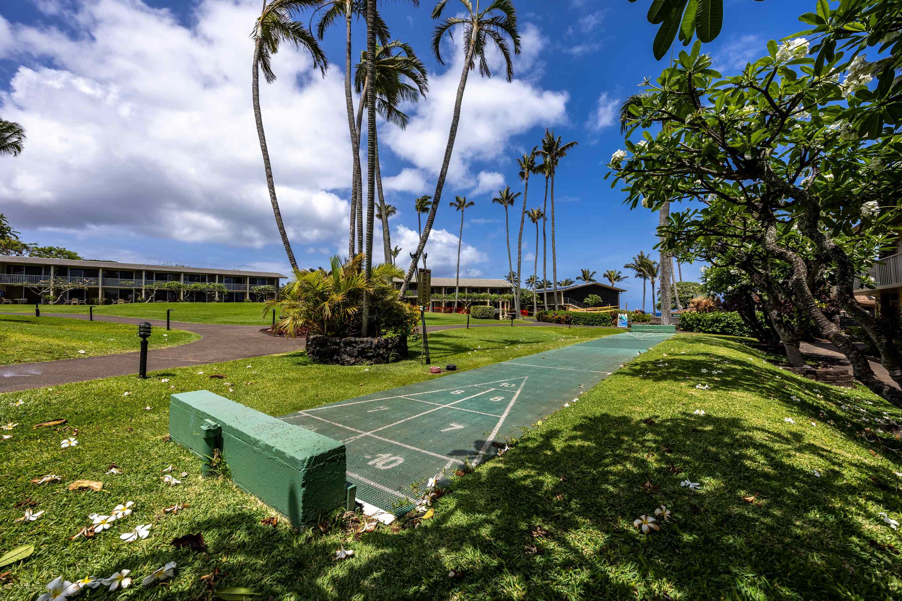 5315 Lower Honoapiilani Rd Property Photo 22