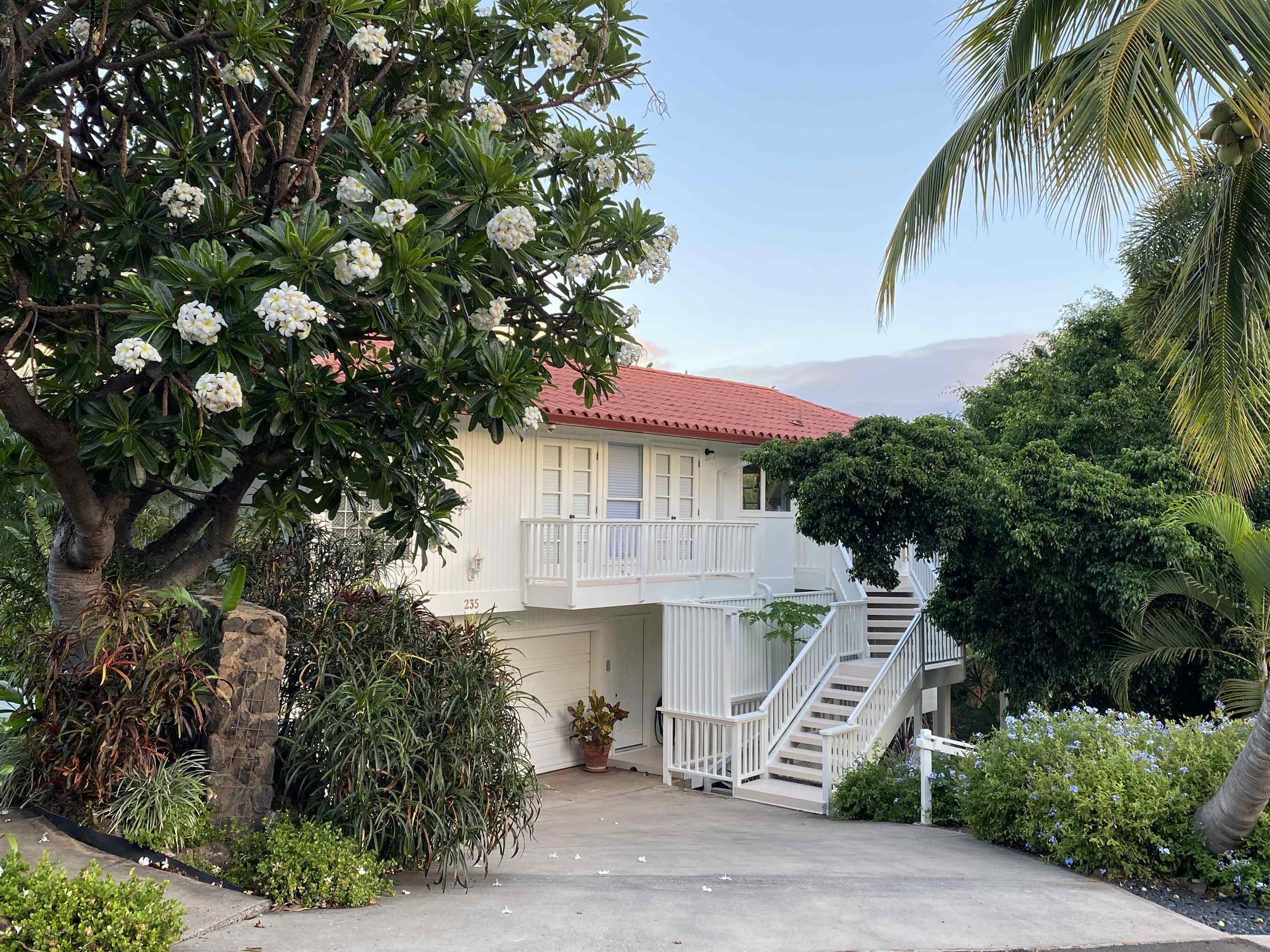 235 Keonekai Rd Property Photo 1