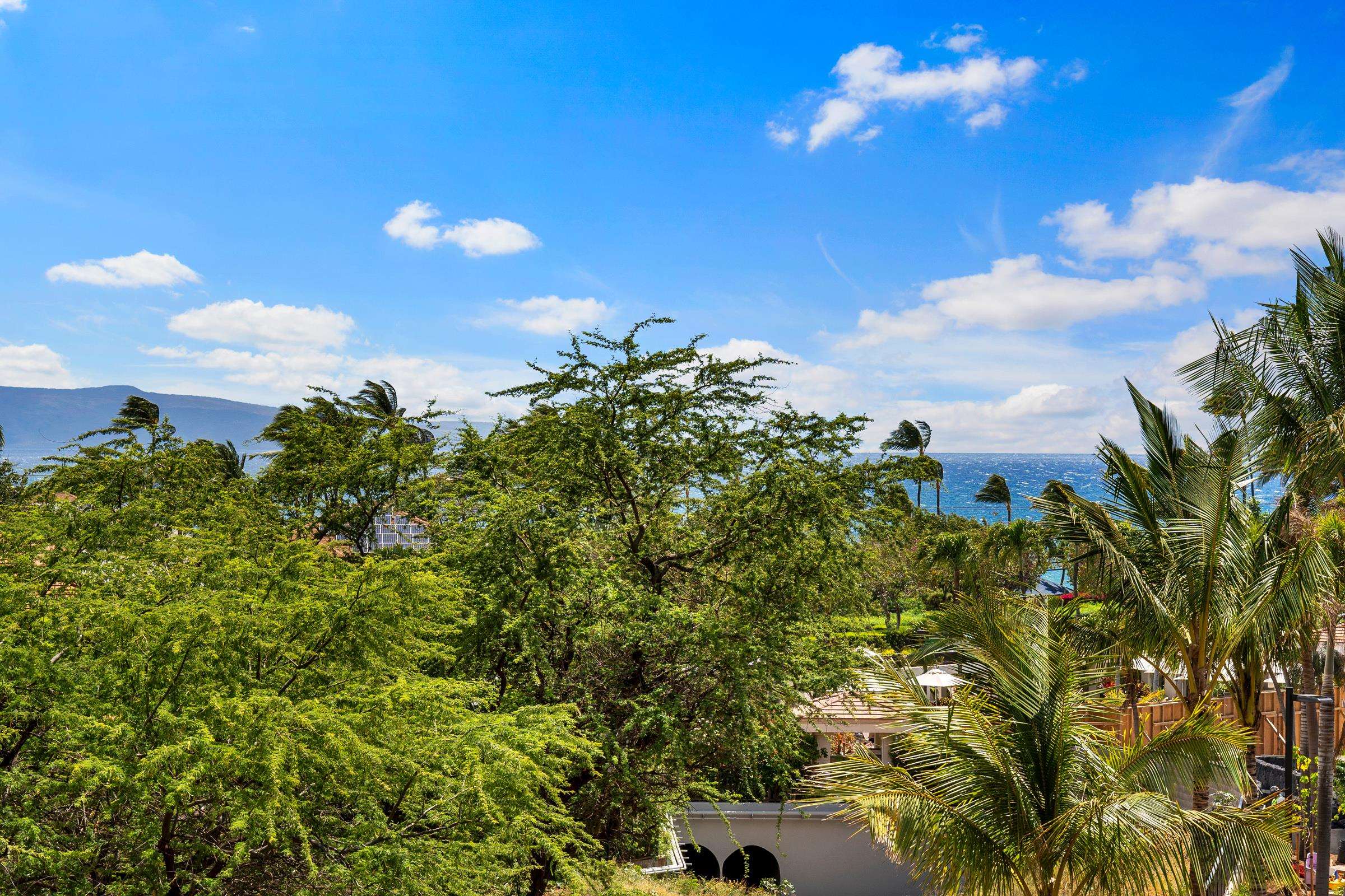 2219 S Kihei Rd Property Photo 11